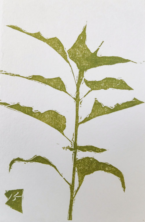 Handgedrukt kaartje van Bert Hoekstra