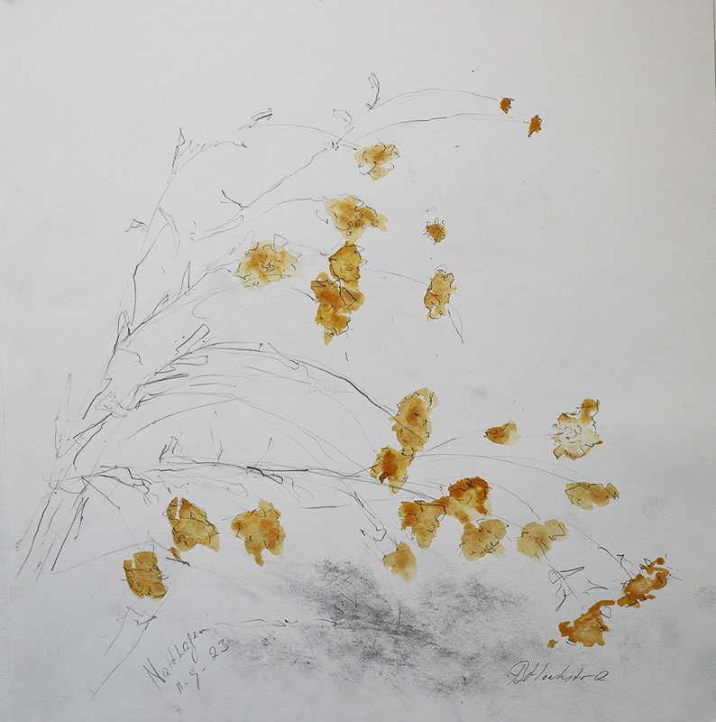 potlood, grafiet en aquarel