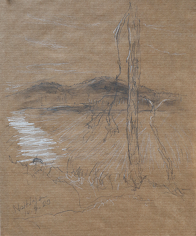 potlood, grafiet en wit potlood op kraftpapier