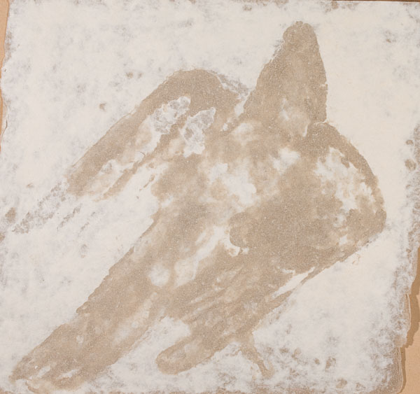 Buizerd - katoen- op henneppulp