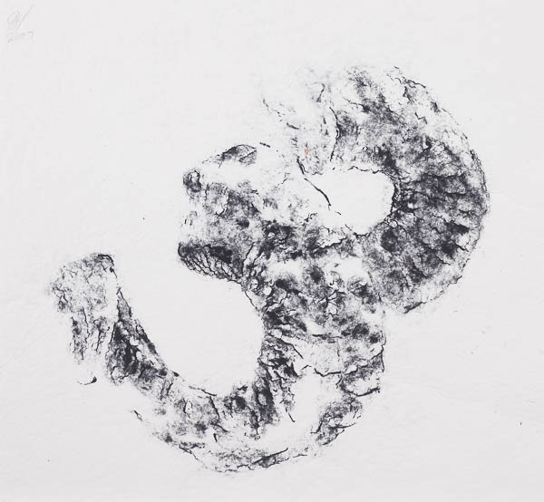 Ramshoorns - zwarte pulp op witte pulp