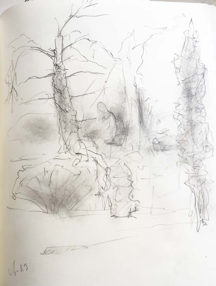 arboretum Oostereng - potlood
