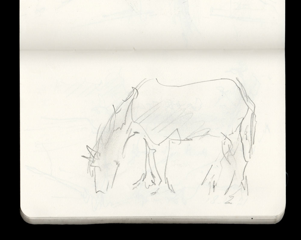 grazend paard - potlood