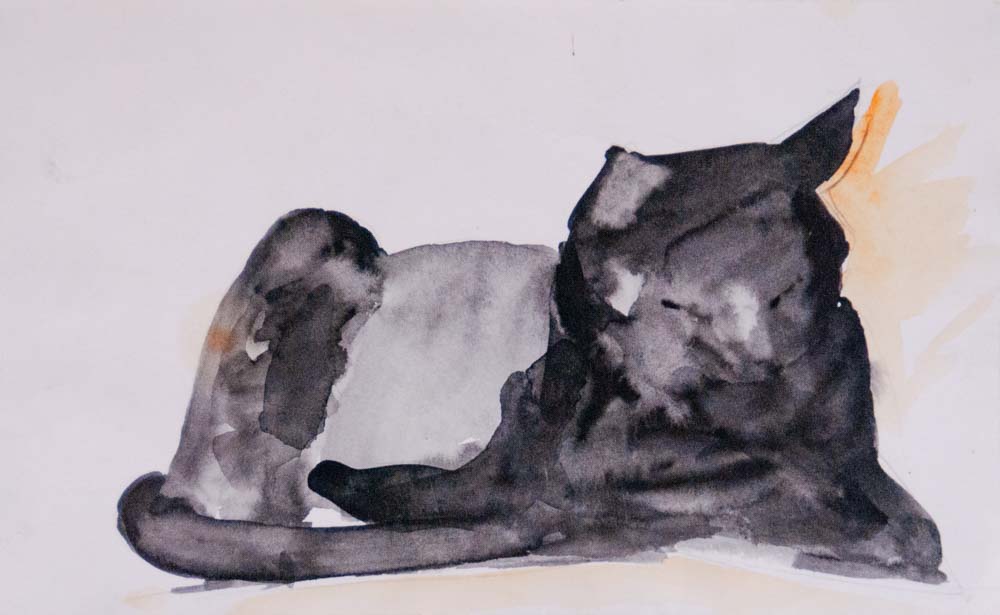 Kim - potlood en aquarel