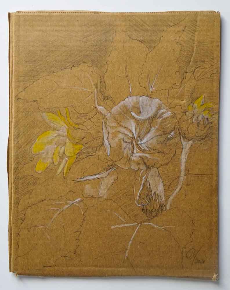 zonnebloem - potlood, aquarel en dekwit op karton
