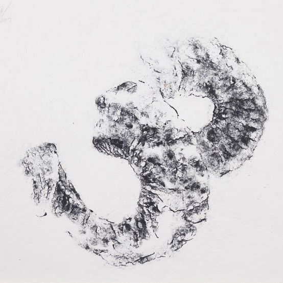 Ramshoorns - pulp in. pulp - thumbnail rond